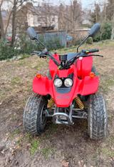 Andere Rex Quad 50