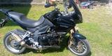 Triumph tiger 1050 - Offers matching your search criteria