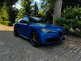 Alfa Romeo Stelvio 2.0 Turbo 16V 206kW Veloce AT8-Q4 Veloce - Alfa Romeo Stelvio veloce mit Benzin-Antrieb