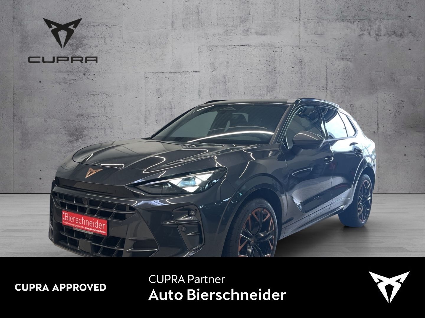 Cupra Terramar VZ 2.0 TSI DSG 4 Drive ab 399,- EUR Anz
