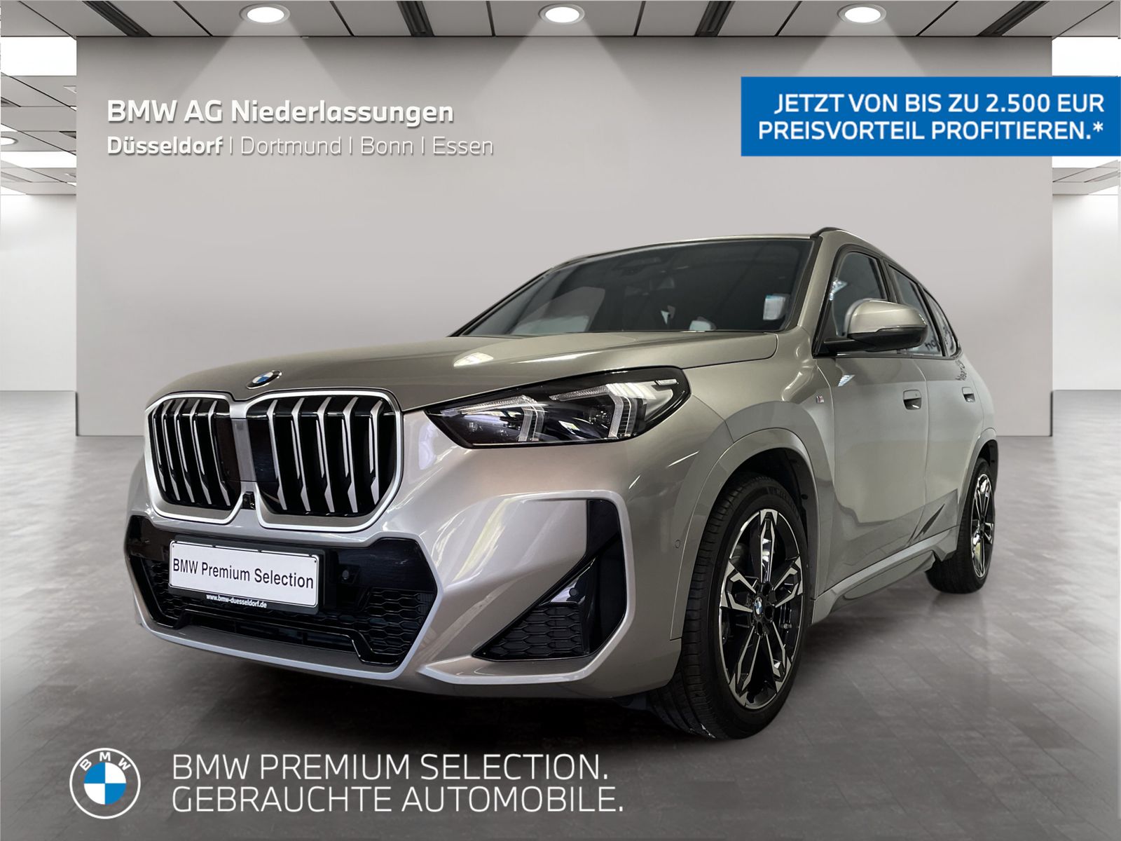 BMW X1 - Bild 1