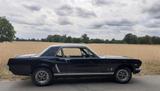 Ford Mustang, Bj.1965,V8,H-Zulassung - Ford Mustang aus 1965: Coupé