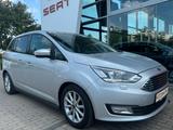 Ford Grand C-MAX Titanium 7 Sitzer /NAVI/AHK/TEMPOMAT - gebrauchte Ford Grand C-Max aus dem Jahr 2018
