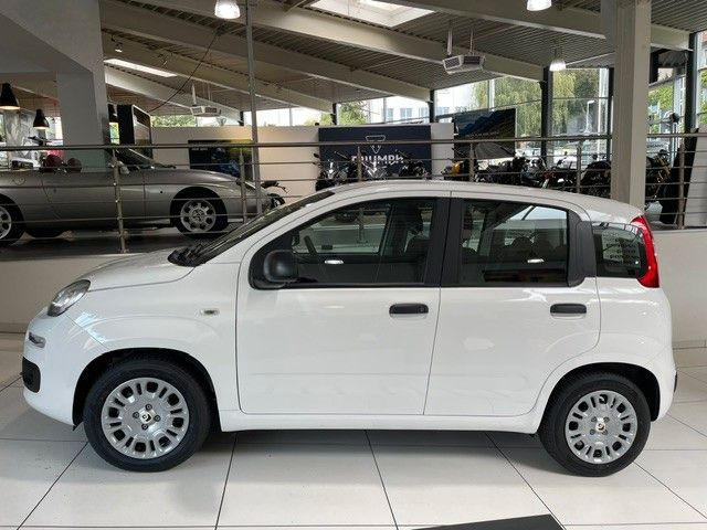 Fiat Panda Pandina Icon 1.0 Mild Hybrid 5-Sitzer imagem 3