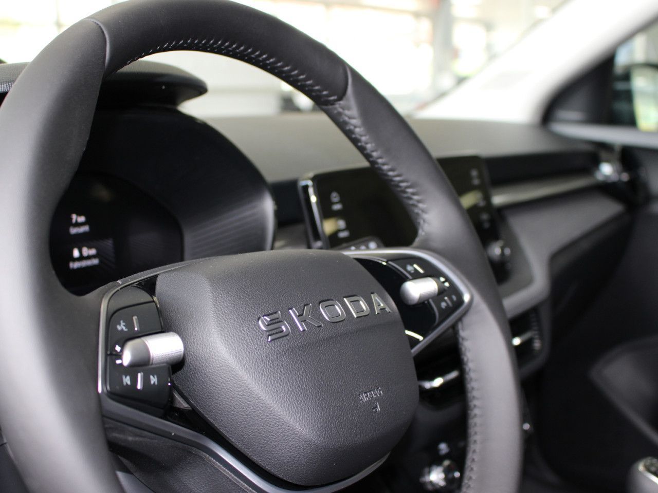Fahrzeugabbildung SKODA Fabia 1.0 TSI Selection RFK/APP/SHZ/LANE