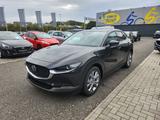 Mazda CX-30 Centre-line NAVI/KAMERA/APPLE CAR-PLAY - Mazda CX-30 Centre-line mit Benzin-Antrieb
