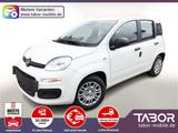 Fiat Panda MHEV 5"-DAB 5-Sitzer PDC DigCo UVP-30%* - Fiat Panda: Sitzer