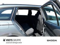 Skoda Octavia - Vorschau Bild 13