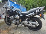 Suzuki GSF 600 Bandit | EZ 2000 | TÜV neu bei Verkauf | - SUZUKI 2000 BANDIT 600