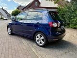 Volkswagen Golf Plus 1.4 United United - Volkswagen Golf Plus in Gelsenkirchen