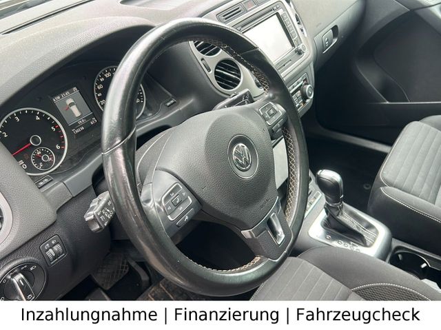 Bild 11