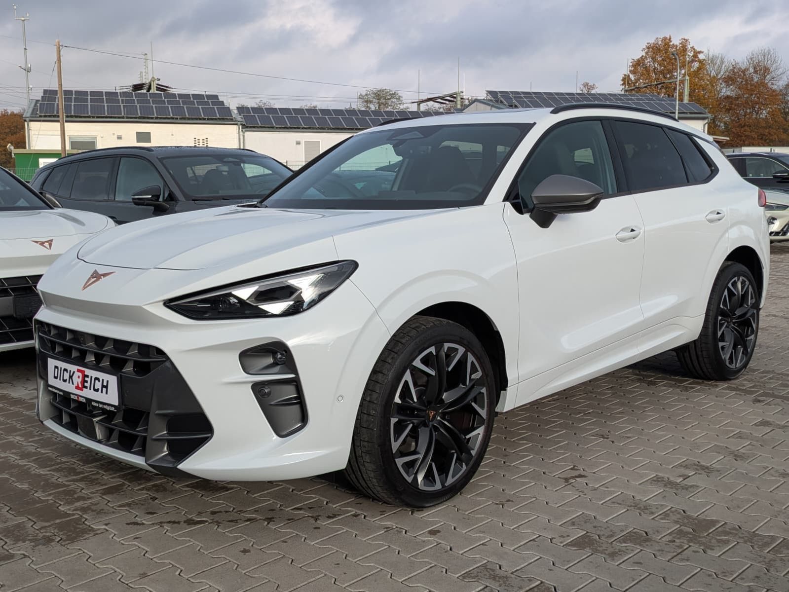 Fahrzeugabbildung CUPRA Terramar 2.0 TSI 4D VZ HUD*MATRIX*PANO*DCC*20"