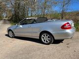 Mercedes-Benz CLK 320 Cabrio A209 Elegance - Mercedes-Benz: Clk A209