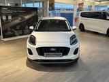 Ford Puma Titanium Navi + ACC + 360-Grad Kamera - gebrauchte Ford SUV & Geländewagen