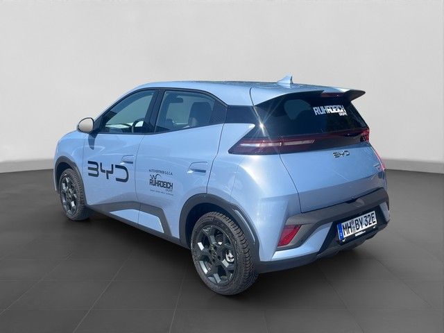 BYD DOLPHIN SURF