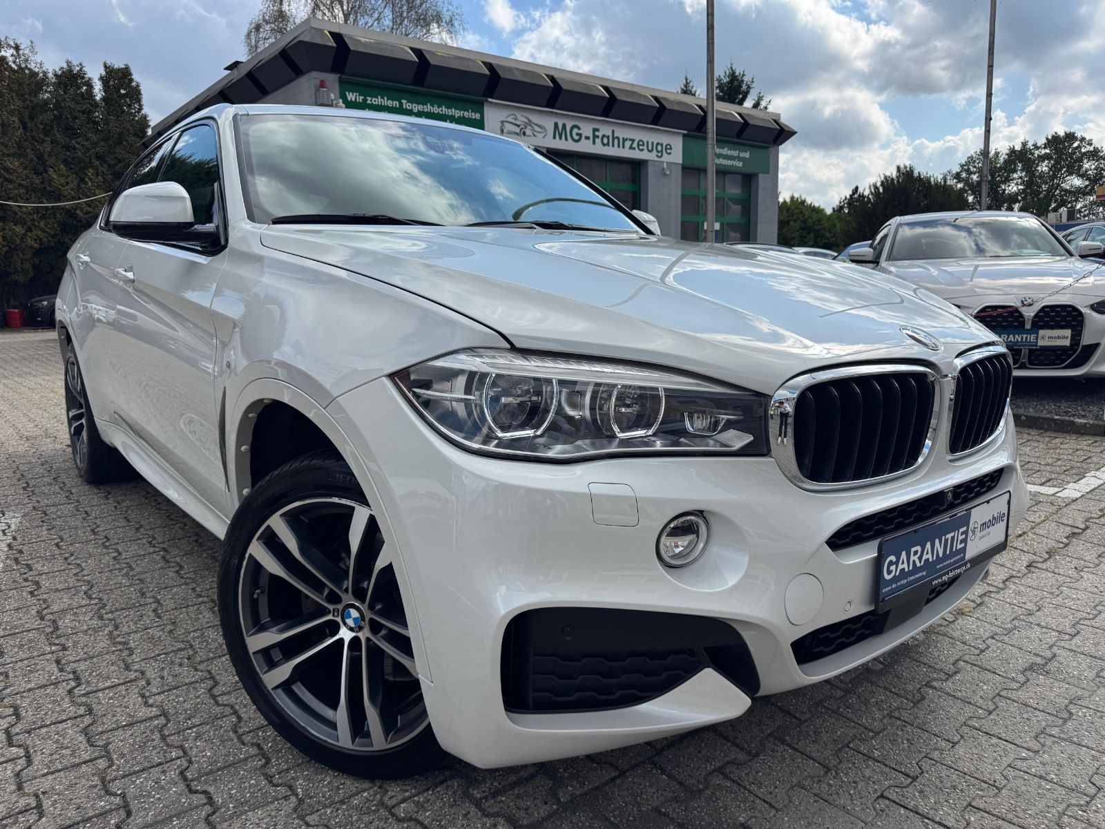 BMW BMW X6 xDrive 30 d M-Sport LED HUD H&K AHK