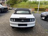 Ford Mustang 2.3 EcoBoost Cabrio* EU-Mod* - Ford Mustang: Ecoboost