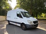 Mercedes-Benz Sprinter 316 CDI THERMO KING Tiefkühlung -24  - : Van, The