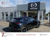 Mazda CX-30 Homura 140 Automatik Navi|Alexa|LED - Mazda CX-30 Homura mit Benzin-Antrieb
