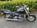 Triumph America, mit Windschutzscheibe TÜV neu - Offers