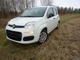 Fiat New Panda 1.2 8V MYSTYLE - Fiat New Panda Benziner Gebrauchtwagen