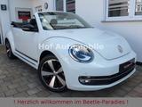 Volkswagen Beetle 1.4TSI Club Plus Xenon Navi DAB SHZ 2xPDC - VW Beetle Gebrauchtwagen in Frankfurt