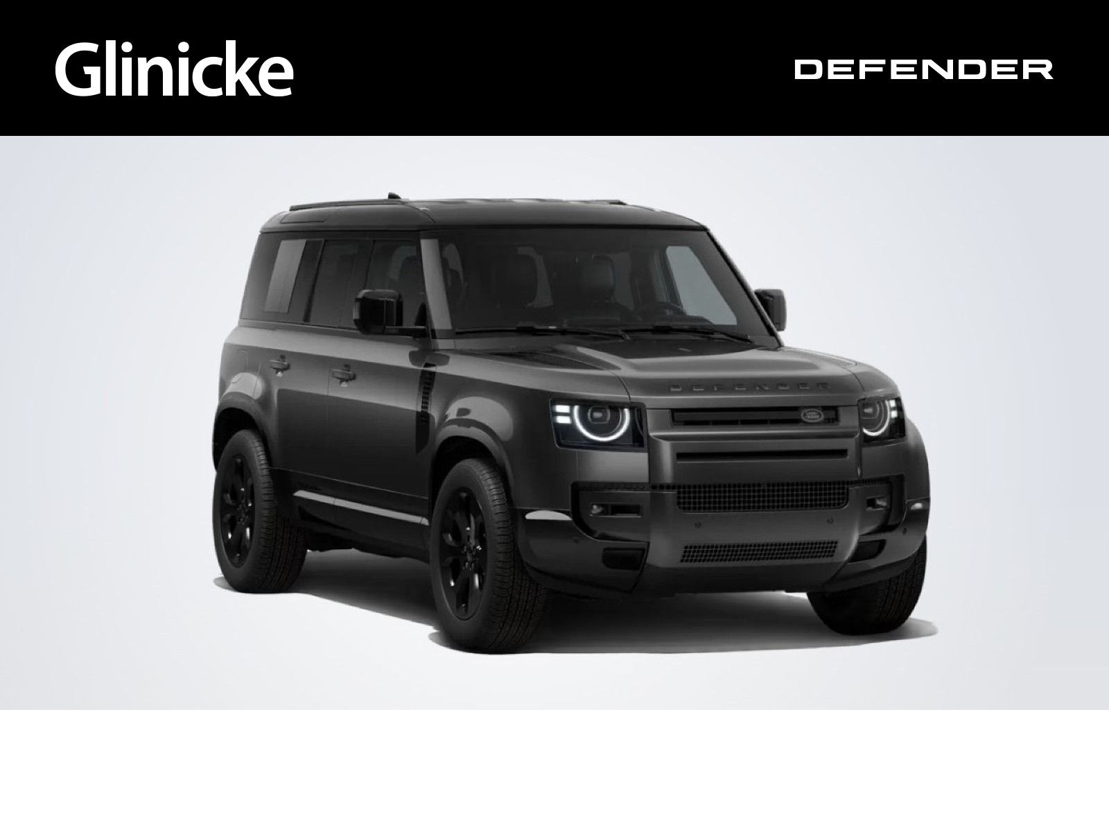 Land Rover Defender 110 D250 X-Dynamic SE Winter-Paket
