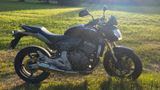 Honda Hornet CB 600 (PC41) - Angebote entsprechen deinen Suchkriterien