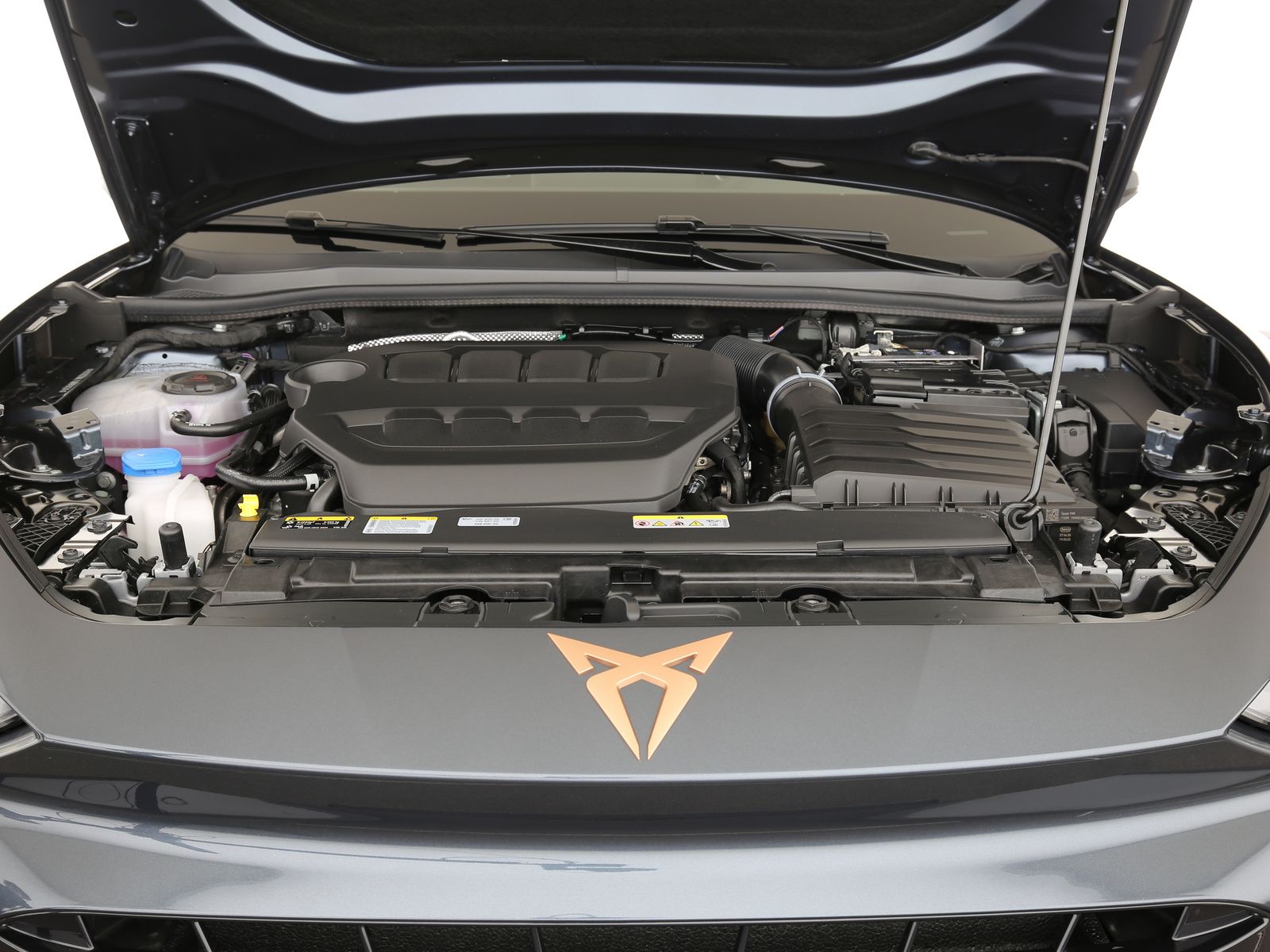 Cupra Leon - Bild 24