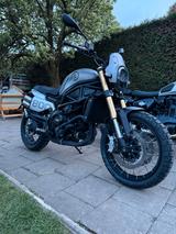 Benelli NEUE BENELLI LEONCINO 800 TRAIL - Scrambler  - BENELLI ENDURO