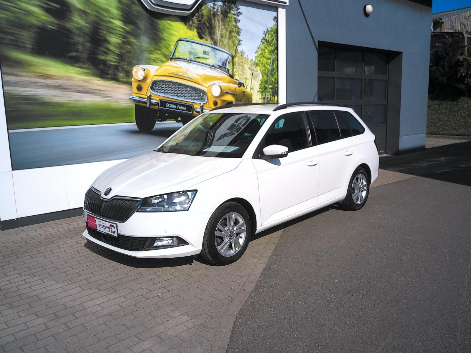 Skoda Fabia Combi Amb. 1.0 TSI Klima SmartLink Rüka
