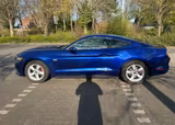 Ford Mustang 3,7L V6+Automatik - Ford Mustang Gebrauchtwagen in Mülheim (Ruhr)