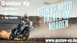 CFMOTO 450NK *NUR NOCH 1 MAL VERFÜGBAR* - CFMOTO 450NK