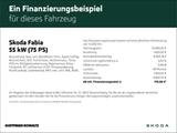 Skoda Fabia Combi 1.0 TSI SOLEIL LED NAVI SHZ PDC LM Z - Skoda Fabia in Wuppertal