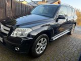 Mercedes-Benz GLK 200 CDI BlueEFFICIENCY - - Mercedes-Benz GLK 200: Cdi Blueefficiency