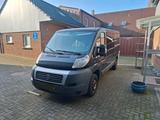 Fiat Ducato so wie Citroen Jumper  , Pegeo... - Fiat Ducato in Kiel
