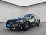 Lexus ES300h Business Line MY25 - Lexus ES-Serie in Stuttgart
