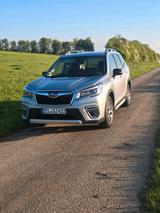 Subaru Forester - gebrauchte Subaru Forester aus dem Jahr 2021