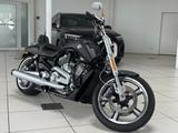 Harley-Davidson V-Rod Muscle VRSCF.  * PORSCHE * - HARLEY-DAVIDSON V ROD MUSCLE VRSCF