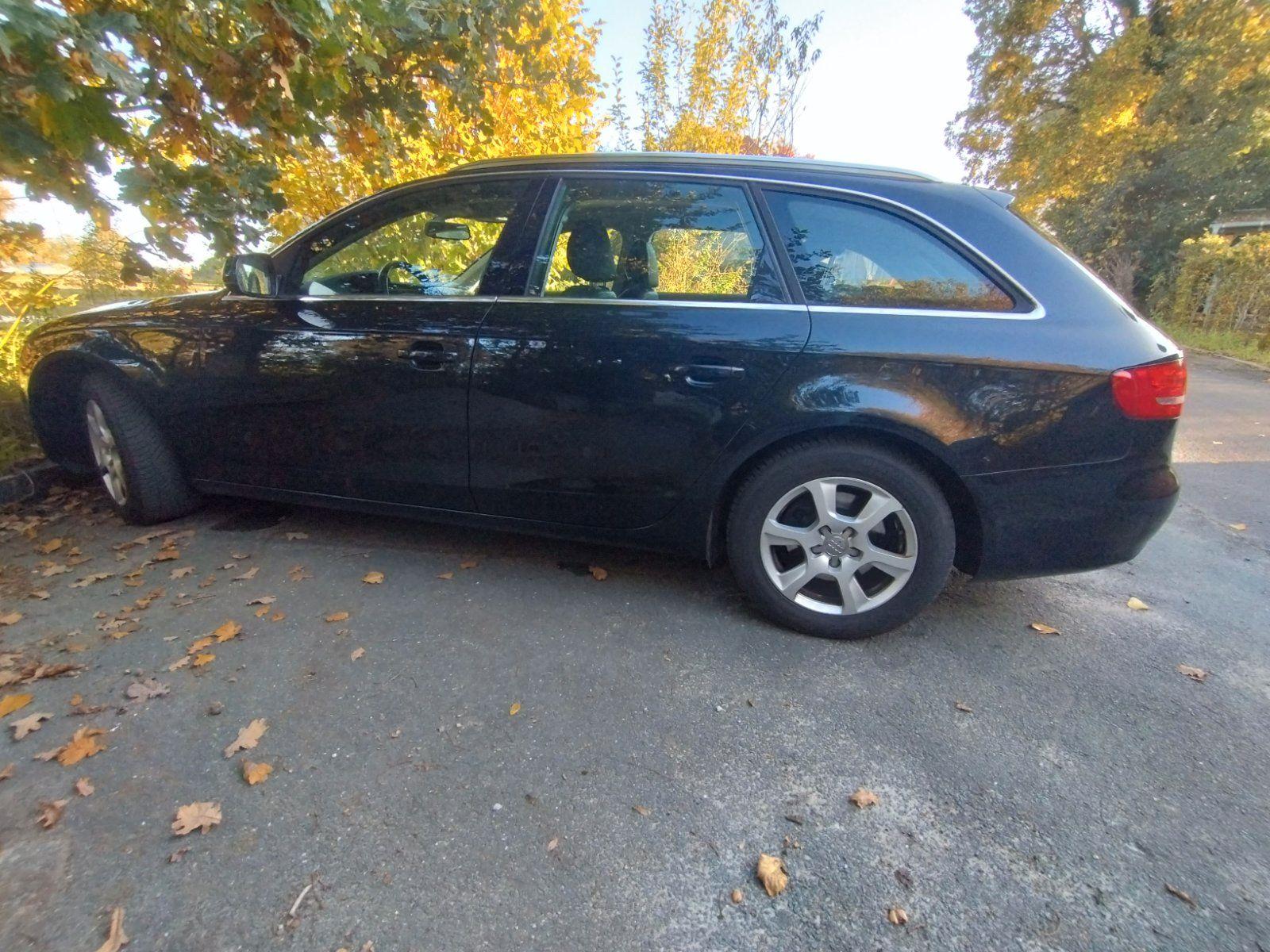 Audi A4 2010 — вигляд ззаду