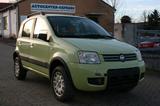 Fiat Panda 1.2 "Climbing 4X4!" "Klima" - Fiat Panda aus 2005: Allradantrieb