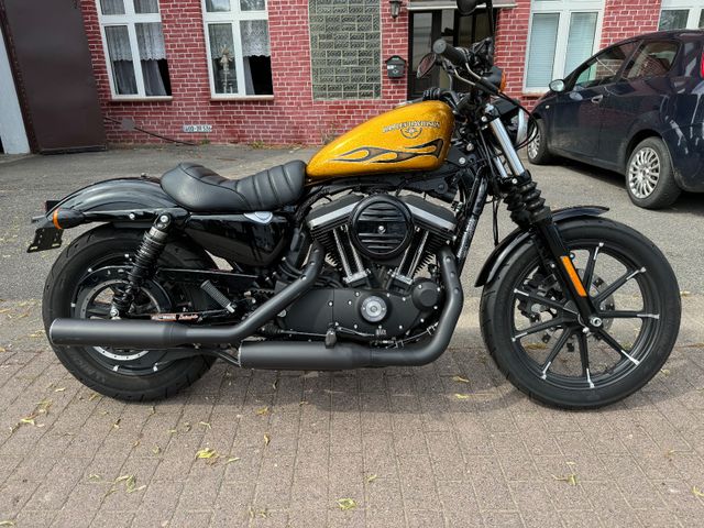 Harley-Davidson Sportster 883 N Iron *Miller, nur 900km, wie neu