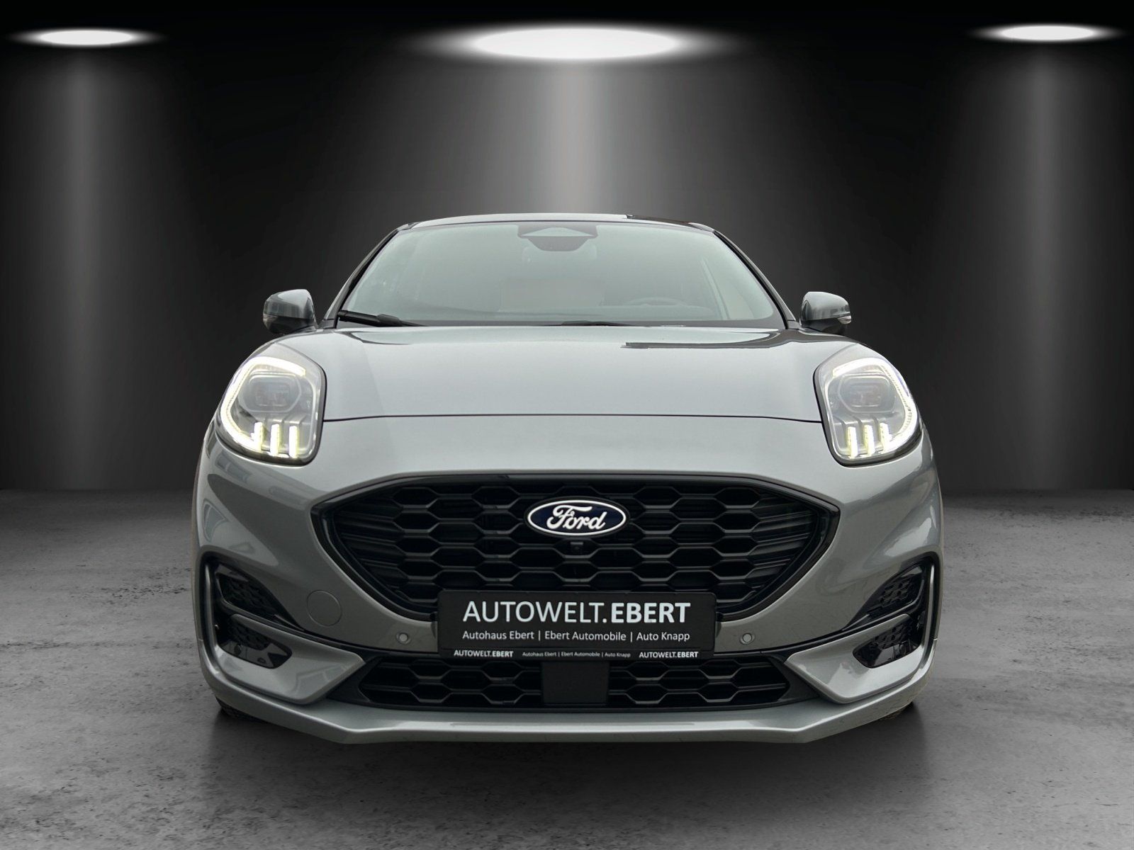 Fahrzeugabbildung Ford Puma 1.0 ST-Line X Aut./MATRIX-LED/ACC/360°/B&O/