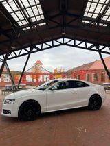 Audi S5 4.2 FSI quattro - - Audi S5 aus 2008