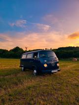 Volkswagen T2 - Volkswagen T2: Kleinbus