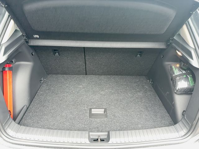 Fabia 1.0 TSI Selection, Winterpaket, Lenkradhei