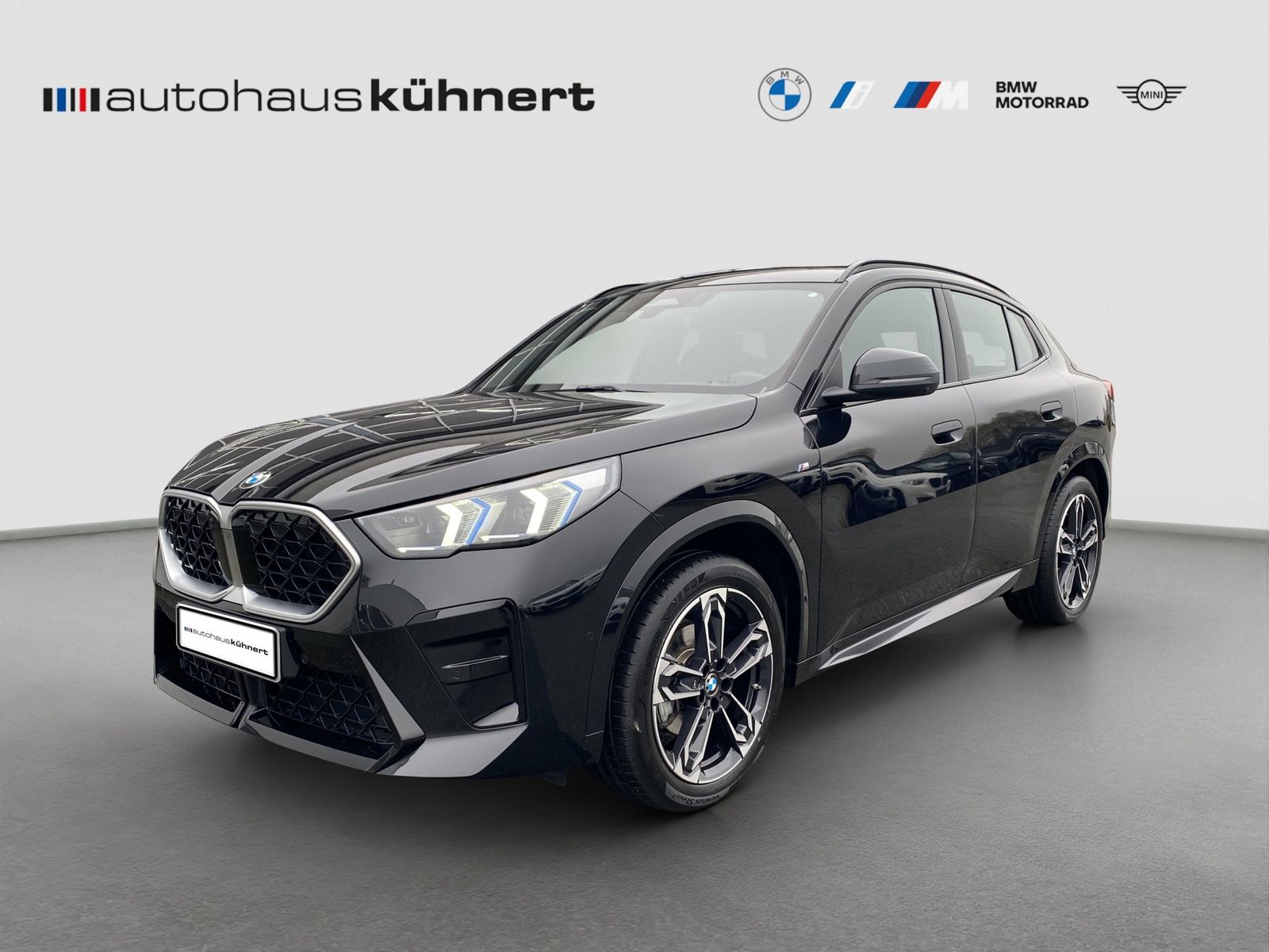 BMW X2 xDrive 20d M Sport AHK 360° HUD Navi RFK P foto 2