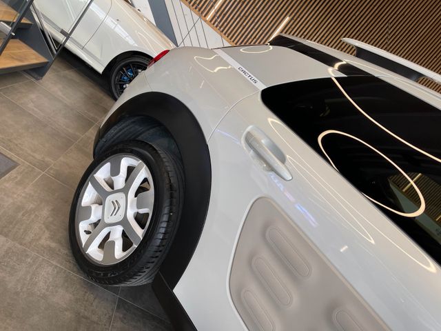 Citroën C4 Cactus W-OneTone *NAVI*SZHZ*AHK*TEMPOMAT*PDC*