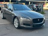 Jaguar XF Portfolio Pano Led Softclose HUD Meridian - Jaguar XF Portfolio mit Diesel-Antrieb