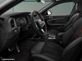 BMW 128ti Dig.Cockpit LED Shz. Sch.Wippen Sports. - graue BMW 128